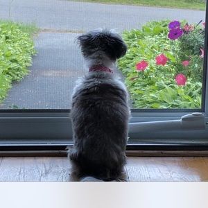 Meet your Posher, Colette